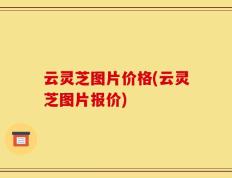 云灵芝图片价格(云灵芝图片报价)