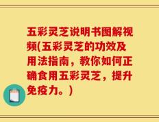 五彩灵芝说明书图解视频(五彩灵芝的功效及用法指南，教你如何正确食用五彩灵芝，提升免疫力。)