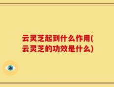 云灵芝起到什么作用(云灵芝的功效是什么)