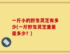 一斤小的野生灵芝有多少(一斤野生灵芝重量是多少？)