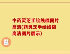中药灵芝手绘线稿图片高清(药灵芝手绘线稿高清图片展示)