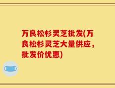 万良松杉灵芝批发(万良松杉灵芝大量供应，批发价优惠)