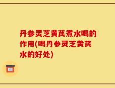 丹参灵芝黄芪煮水喝的作用(喝丹参灵芝黄芪水的好处)