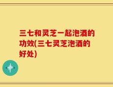三七和灵芝一起泡酒的功效(三七灵芝泡酒的好处)