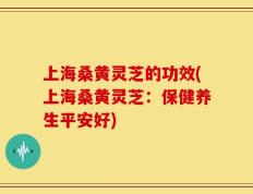 上海桑黄灵芝的功效(上海桑黄灵芝：保健养生平安好)