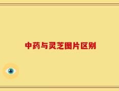 中药与灵芝图片区别