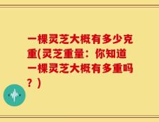 一棵灵芝大概有多少克重(灵芝重量：你知道一棵灵芝大概有多重吗？)