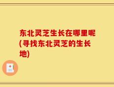 东北灵芝生长在哪里呢(寻找东北灵芝的生长地)