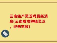 云南能产灵芝吗最新消息(云南成功种植灵芝，迎来丰收)