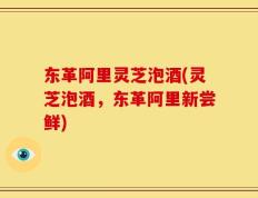 东革阿里灵芝泡酒(灵芝泡酒，东革阿里新尝鲜)