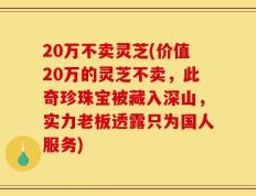 20万不卖灵芝(价值20万的灵芝不卖，此奇珍珠宝被藏入深山，实力老板透露只为国人服务)