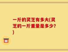 一斤的灵芝有多大(灵芝的一斤重量是多少？)