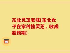 东北灵芝老妹(东北女子在家种植灵芝，收成超预期)