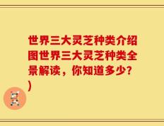 世界三大灵芝种类介绍图世界三大灵芝种类全景解读，你知道多少？)