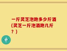一斤灵芝泡跑多少斤酒(灵芝一斤泡酒跑几斤？)