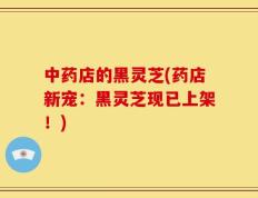 中药店的黑灵芝(药店新宠：黑灵芝现已上架！)