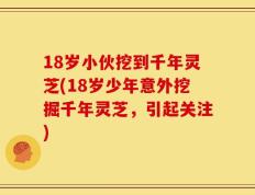 18岁小伙挖到千年灵芝(18岁少年意外挖掘千年灵芝，引起关注)