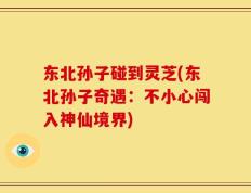 东北孙子碰到灵芝(东北孙子奇遇：不小心闯入神仙境界)