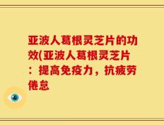 亚波人葛根灵芝片的功效(亚波人葛根灵芝片：提高免疫力，抗疲劳倦怠