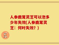 人参鹿茸灵芝可以泡多少年失效(人参鹿茸灵芝：何时失效？)