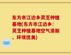 东方市江边乡灵芝种植基地(东方市江边乡：灵芝种植基地空气清新、环境优美)