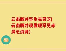 云南腾冲野生赤灵芝(云南腾冲现发现罕见赤灵芝资源)