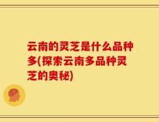 云南的灵芝是什么品种多(探索云南多品种灵芝的奥秘)