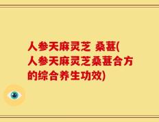人参天麻灵芝 桑葚(人参天麻灵芝桑葚合方的综合养生功效)