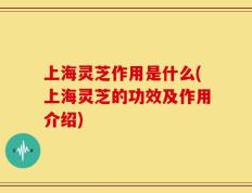 上海灵芝作用是什么(上海灵芝的功效及作用介绍)
