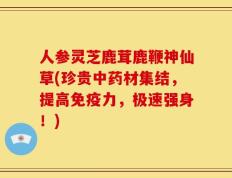 人参灵芝鹿茸鹿鞭神仙草(珍贵中药材集结，提高免疫力，极速强身！)