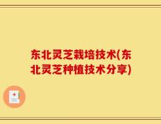 东北灵芝栽培技术(东北灵芝种植技术分享)