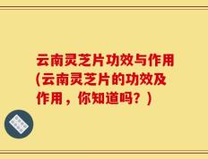 云南灵芝片功效与作用(云南灵芝片的功效及作用，你知道吗？)