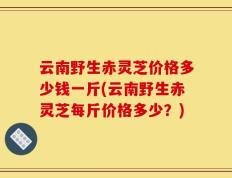 云南野生赤灵芝价格多少钱一斤(云南野生赤灵芝每斤价格多少？)
