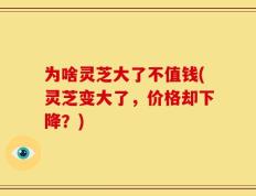 为啥灵芝大了不值钱(灵芝变大了，价格却下降？)