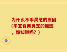 为什么不采灵芝的原因(不宜食用灵芝的原因，你知道吗？)