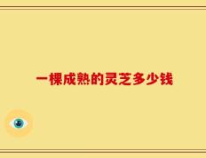 一棵成熟的灵芝多少钱