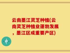 云南墨江灵芝种植(云南灵芝种植业蓬勃发展，墨江区成重要产区)