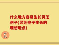 什么地方容易生长灵芝孢子(灵芝孢子生长的理想地点)