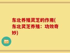 东北养殖灵芝的作用(东北灵芝养殖：功效奇妙)