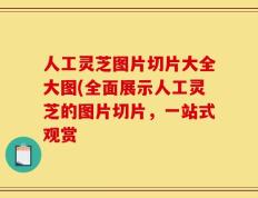 人工灵芝图片切片大全大图(全面展示人工灵芝的图片切片，一站式观赏