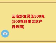 云南野生灵芝500克(500克野生灵芝产自云南)