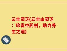 云丰灵芝(云丰山灵芝：珍贵中药材，助力养生之道)
