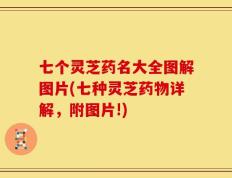 七个灵芝药名大全图解图片(七种灵芝药物详解，附图片!)
