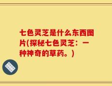 七色灵芝是什么东西图片(探秘七色灵芝：一种神奇的草药。)