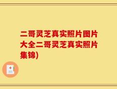 二哥灵芝真实照片图片大全二哥灵芝真实照片集锦)