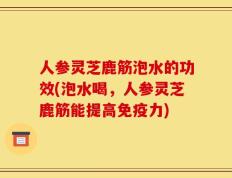 人参灵芝鹿筋泡水的功效(泡水喝，人参灵芝鹿筋能提高免疫力)
