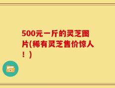 500元一斤的灵芝图片(稀有灵芝售价惊人！)