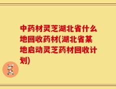 中药材灵芝湖北省什么地回收药材(湖北省某地启动灵芝药材回收计划)