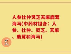 人参杜仲灵芝天麻鹿茸海马(中药材组合：人参、杜仲、灵芝、天麻、鹿茸和海马)