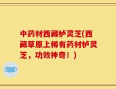 中药材西藏栌灵芝(西藏草原上稀有药材栌灵芝，功效神奇！)